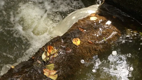 Forest river with a waterfall in autumn Video stock 94922221
