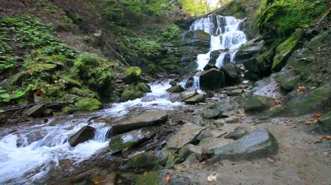 Forest river - waterfall Stock Footage 911819