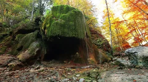 Forest river - waterfall Stock Footage 8952637