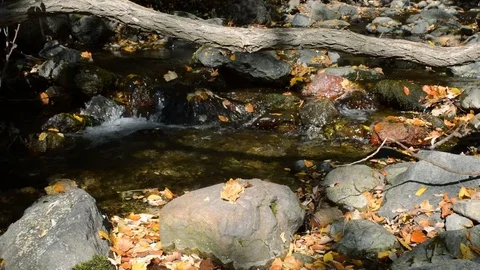 Forest River Waterfall Stock Footage 81477342