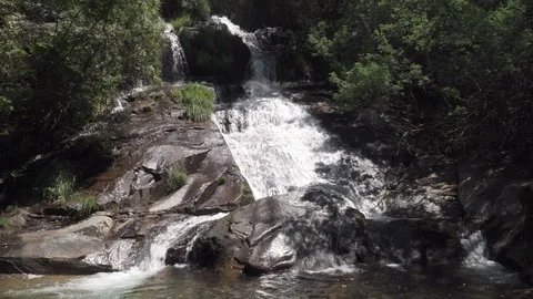Forest river waterfall Video stock 112327223