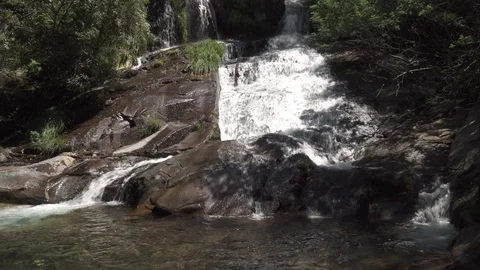 Forest river waterfall Video stock 112327389
