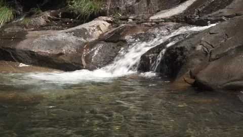 Forest river waterfall Video stock 112328314