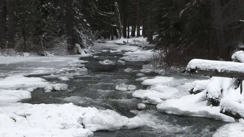 Forest River In Winter Stock Footage 84074680