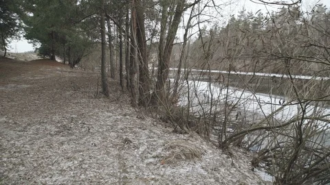 Forest river in winter Stock Footage 88813667