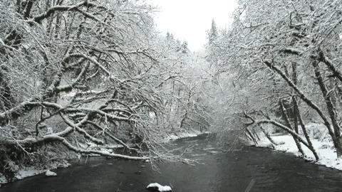 Forest River In Winter Snow Scenic Video stock 151866619