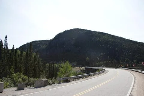Forest Road 01 Stock Photos