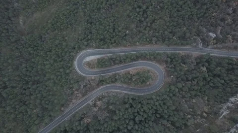 Forest road 1 Video stock 126826688