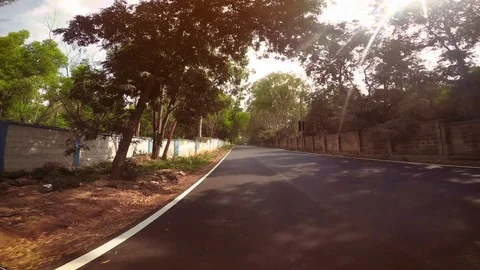 Forest road 1080 Video stock 123401191