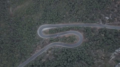 Forest road 3 Video stock 126826677