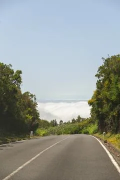 Forest road above the clouds Horizontal Stock Photos