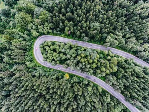 Forest road from above Stock Photos
