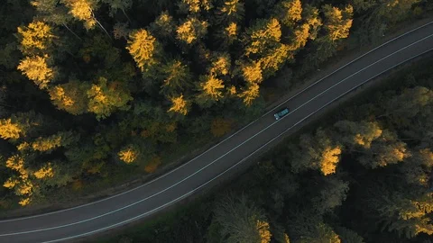 Forest Road Aerial View 動画素材 95528680
