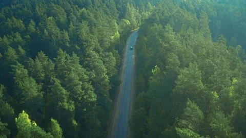 Forest road aerial view, pine evergreen woods, dark, cars, traffic, autumn Stock Footage 287100892
