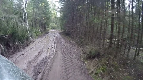Forest road after rain, go pro Stock Footage 84197659