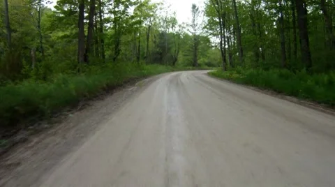 Forest road along Black River Stock-Footage 7373406