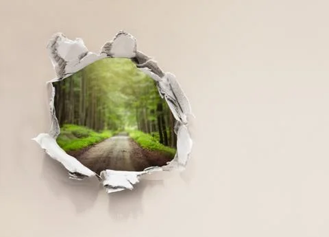 Forest road behind wall Stock Photos