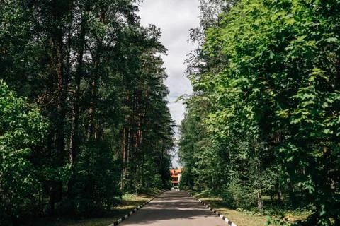 Forest road to the castle 스톡 사진