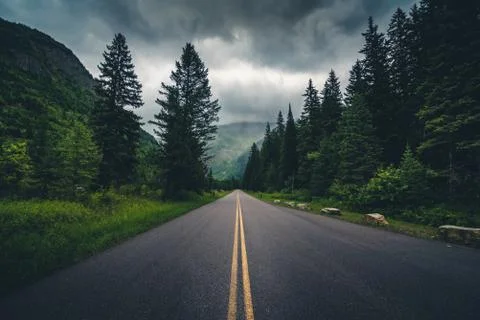 Forest road on a cloudy day. Foto stock