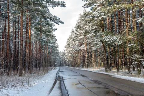 Forest road on a cloudy winter day Foto stock