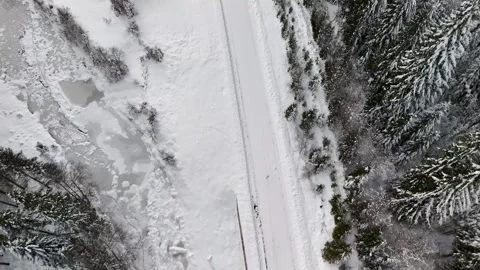 Forest road cover with snow Stock Footage 320800899