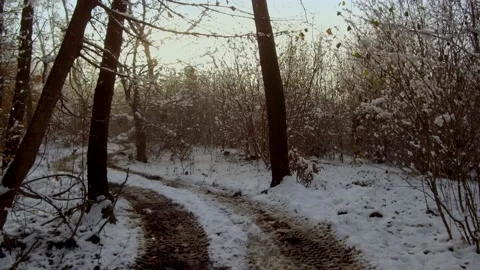 Forest road covered with snow in winter Stock Footage 146088796
