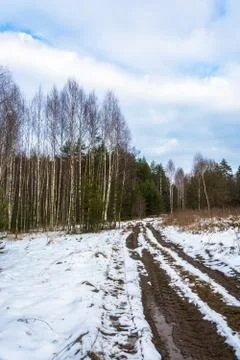 Forest road, covered with a thin layer of snow. Stock Photos