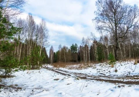 Forest road, covered with a thin layer of snow. Stock Photos