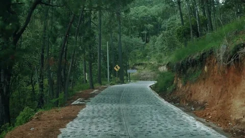 Forest road curve, mountain path travel, green pine forest Stock Footage 311652791