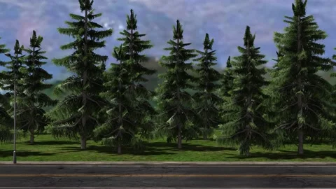 Forest Road Daytime Rolling Road Background Animation For Green Screen Stock Footage 162693724