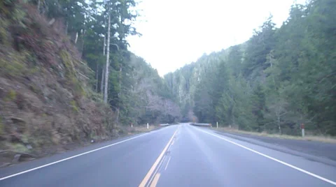 Forest Road Drive Stock Footage 34257589