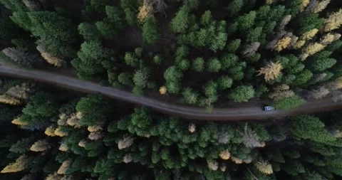 Forest road drone 1 動画素材 173277472