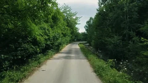 Forest road drone, lush greenery path, cinematic nature journey Stock Footage 311763479