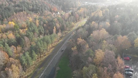 Forest Road in Fall Colors on a Beautiful Day with Car Traffic, Aerial Stock Footage 144783050