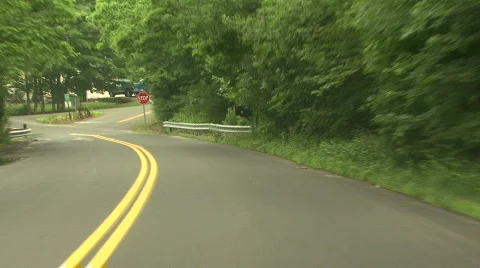 Forest Road Stock Footage 141553