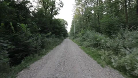 Forest Road Stock Footage 7757268