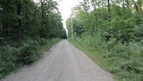 Forest Road Stock Footage 7757278