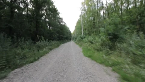 Forest Road Stock Footage 7757279