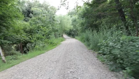 Forest Road Stock Footage 7757292