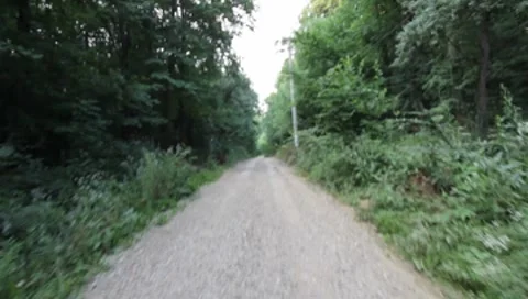 Forest Road Stock Footage 7757295