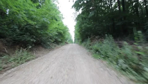 Forest Road Stock Footage 7757300
