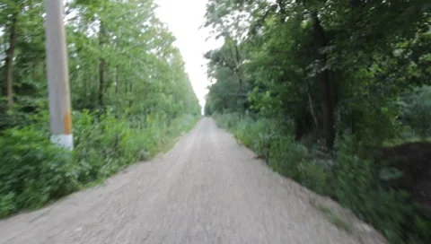 Forest Road Stock Footage 7757306