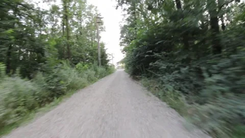 Forest Road Stock Footage 7757308