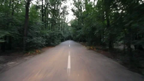 Forest Road Stock Footage 7757353