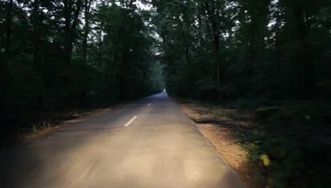 Forest Road Stock Footage 7757357