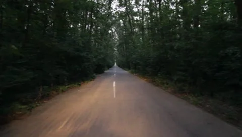 Forest Road Stock Footage 7757360