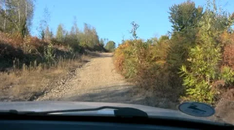 Forest road Stock Footage 8954322