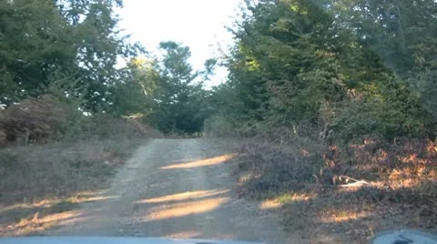 Forest road Stock Footage 8954768