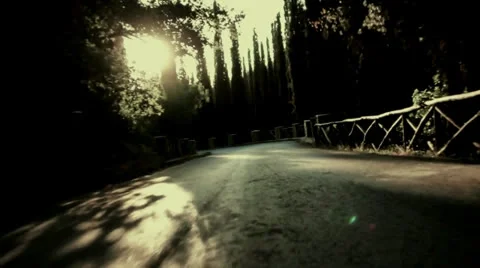 Forest road Stock Footage 23912937