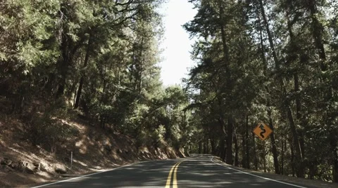 Forest Road Stock Footage 46216970